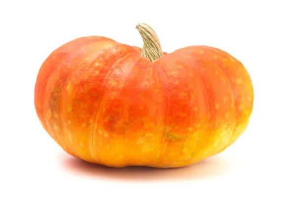 Fresh Cinderella Pumpkin Seeds For Planiting (Rouge Vif D Etampes) 20 Seeds Garden