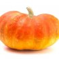 Fresh Cinderella Pumpkin Seeds For Planiting (Rouge Vif D Etampes) 20 Seeds Garden