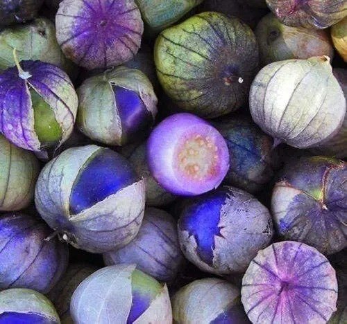 Fresh Purple Tomatillo Seeds For Growing 100+ Seeds Make Salsa Made In Usa Ship Garden