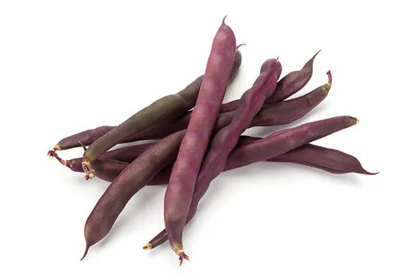 Fresh Purple Finger Bean Seeds For Planting 15 Rare Vegetable Seeds Garden