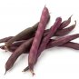 Fresh Purple Finger Bean Seeds For Planting 15 Rare Vegetable Seeds Garden
