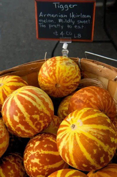 Fresh 10 Rare Tiger Melon Seeds Exotic Fruit Seeds To Plant Garden