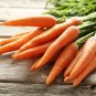 Fresh Scarlet Nantes Carrot Seeds For Planting 100+ Seeds Grow Your Own Vegetables Garden