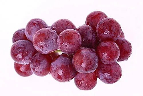 Fresh Generic Grapes Seeds(50 Seeds) Garden