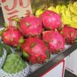Fresh 100+ Dragon Fruit Seeds (Pitaya / Pitahaya / Strawberry Pear) Hylocereus Undatus Garden