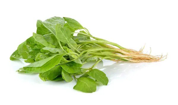 Fresh Green Chinese Spinach Seeds For Planting 100+ Seeds Ships From Iowa Usa. Ve Garden