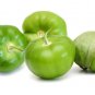 Fresh 100+ Rio Grande Verde Tomatillo Seeds Exotic Fruit Seeds For Planting Garden