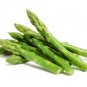 Fresh Green Asparagus Seeds 150+ Seeds Non Gmo Seeds For Planting Garden