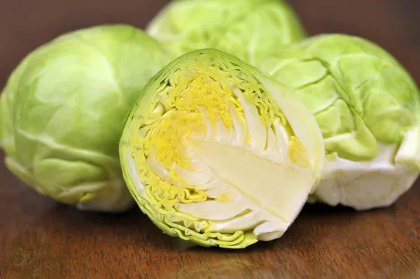 Fresh Brussel Sprouts Seeds 250+ Seeds Grow Your Own Food Long Island Brussel Sp Garden