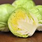 Fresh Brussel Sprouts Seeds 250+ Seeds Grow Your Own Food Long Island Brussel Sp Garden