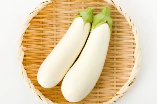 Fresh White Eggplant Seed For Planting 100+ Seeds Made In Usa Ships From Iowa Garden