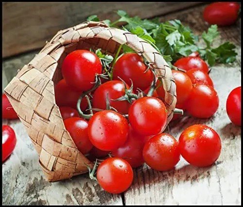 Fresh Dwarf Bush Cherry Tomato Seeds For Planting 100+ Seeds Amazing Taste Great Garden