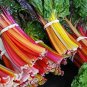Fresh Swiss Chard Seeds For Planting 100+ Seeds Rare Colorful Vegetable See Garden