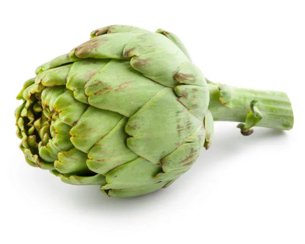 Fresh Exotic Globe Artichoke Seeds For Planting 100+ Seeds Rare Vegetable S Garden