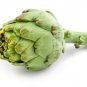 Fresh Exotic Globe Artichoke Seeds For Planting 100+ Seeds Rare Vegetable S Garden