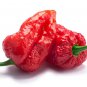 Fresh Ghost Pepper Seeds 10+ "Bhut Jolokia" Pepper Seeds For Planting Garden