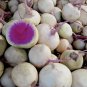 Fresh Exotic Radish Watermelon Seeds For Planting 250+ Seeds Rare Vegetable Garden
