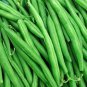 Fresh String Bean Bush Blue Lake 50+ Seeds + Made In Usa. Non Gmo Heirloom Seeds Garden