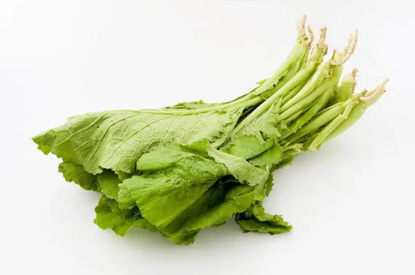 Fresh Florida Broadleaf Mustard Greens 250+ Seeds To Grow Made In Usa Ships From Garden