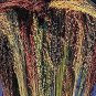 Fresh Broom Corn Seeds (40 Seed Pack) Garden