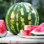 Fresh Crimson Watermelon Seeds To Grow 30+ Seeds Made In Usa Ships From Iowa Garden