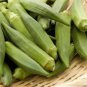 Fresh Spineless Okra Seeds 250 Seeds Made In Usa Ships From Iowa. Garden