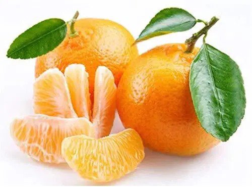 Fresh 10 Edible Fruit Orange Tree Seeds Grow Delicious Oranges Ships From Iowa. Garden