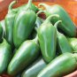 Fresh Jalapeno Pepper Seeds To Plant 100+ Seeds Versatile Pepper For Eating And Se Garden