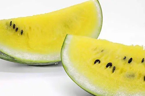 Fresh Dwarf Yellow Watermelon Seeds 25 Seeds Grow Petite Yellow Watermelons Delic Garden