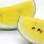 Fresh Dwarf Yellow Watermelon Seeds 25 Seeds Grow Petite Yellow Watermelons Delic Garden