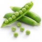 Fresh Sweet Pea Seeds To Grow 25+ Seeds Delicious Sweet Peas To Grow And Eat Grow Garden