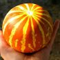 Fresh Queen Anne'S Pocket Melon Seeds 10 Seeds Grow Your Own Food. Garden