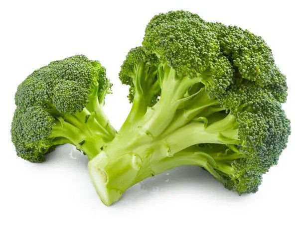 Fresh 250 Broccoli Seeds Non Gmo Seeds Made In Usa. Ships From Iowa Garden