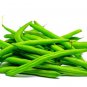 Fresh Green Bean Seeds For Planting 50+ Seeds Of Provider Bush Beans Made In Usa Garden