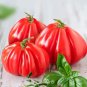 Fresh Ruffled Tomato Seeds 25+ Seeds To Grow Exotic Heirloom Vegetable Seeds For P Garden