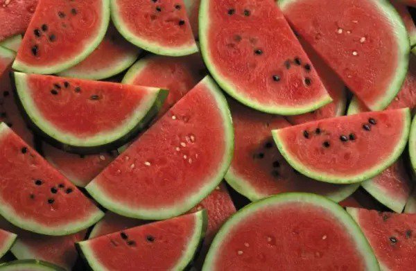 Fresh Black Diamond Watermelon Seeds 50 Seeds A Summer Favorite Fruit Seeds For Garden