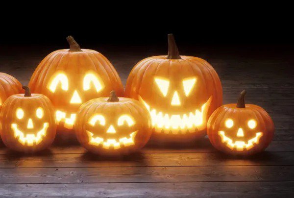 Fresh Jack O' Lantern Pumpkin Seeds For Planting 20+ Seeds Grow Pumpkins Perfect F Garden