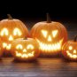 Fresh Jack O' Lantern Pumpkin Seeds For Planting 20 Seeds Grow Medium Sized Symmet Garden
