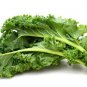 Fresh Kale Seeds To Plant 100+ Seeds Dwarf Blue Kale Seeds For Planting Grow You Garden