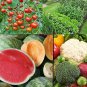 Fresh Fruit And Vegetable Seed Kit 50+ Seeds Each Watermelon Cantelope Toma Garden