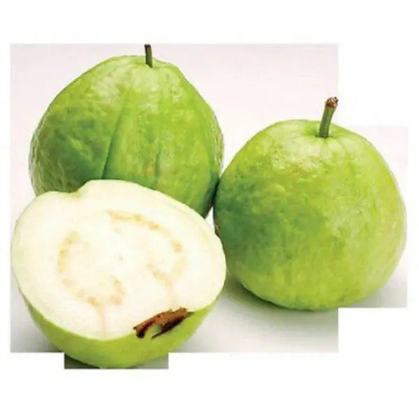 Fresh 15 Seeds Guava White Tropical Fruit Psidium Guajava Tree Edible Guayaba Plant #E Garden