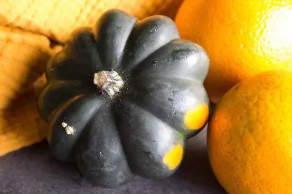 Fresh Giant Acorn Squash 50+ Seeds Table Squash Delicious And Nutritious Made I Garden