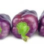 Fresh Purple Pepper Seeds To Plant 100+ Seeds Versatile Pepper For Eating And Seas Garden