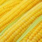 Fresh 100+ Incredible Corn Seeds Grow Tasty Sweet Corn Big Yielder Garden