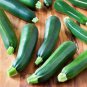 Fresh Squash Zucchini Black Beauty Organic 50+ Seeds Non Gmo Heirloom Seeds Garden