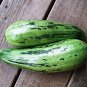 Fresh Caserta Squash Seeds For Planting (10 Seeds) Garden