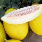 Fresh Tweety Melon Seeds For Planting (10 Seeds) Made In Usa Ships From Iowa. Garden
