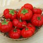 Fresh Pepper Pumpkin Seeds For Planting (5 Rare Seeds) Peppers Shaped Like Pumpkins Garden