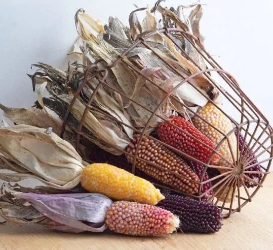 Fresh Strawberry Delite Corn Seeds For Planting 25 Seeds Per Packet Ships From Iowa Garden