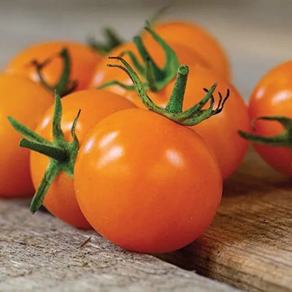 Fresh Sun Sugar Cherry Tomato Seeds For Planting (10 Seeds) Garden
